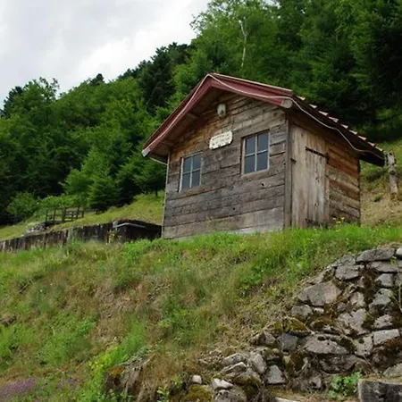 Confortable Dans Les Vosges - 2 Independants - Fr-1-589-838