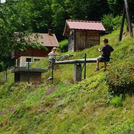 Venkovský dům Confortable Dans Les Vosges - 2 Independants - Fr-1-589-838