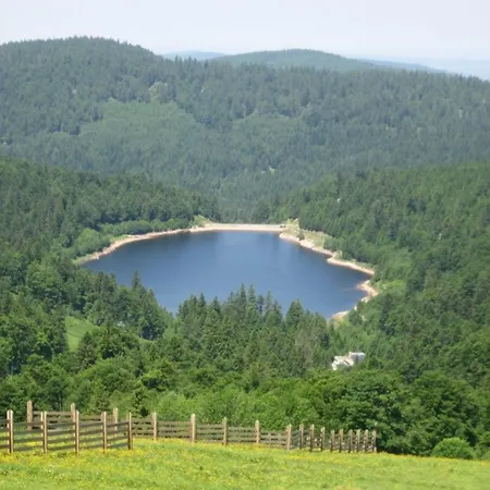 Venkovský dům Confortable Dans Les Vosges - 2 Independants - Fr-1-589-838