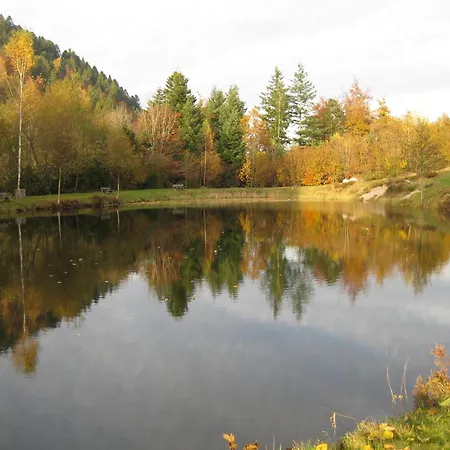 Confortable Dans Les Vosges - 2 Independants - Fr-1-589-838 르메니