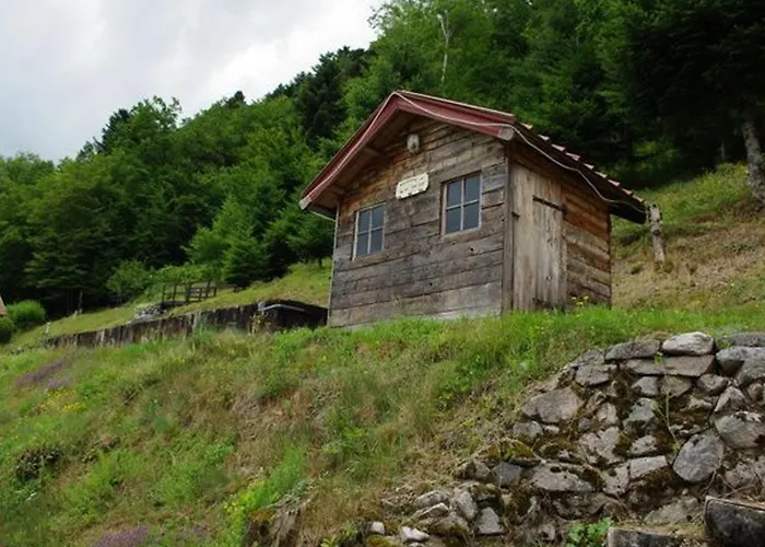 Confortable Dans Les Vosges - 2 Independants - Fr-1-589-838