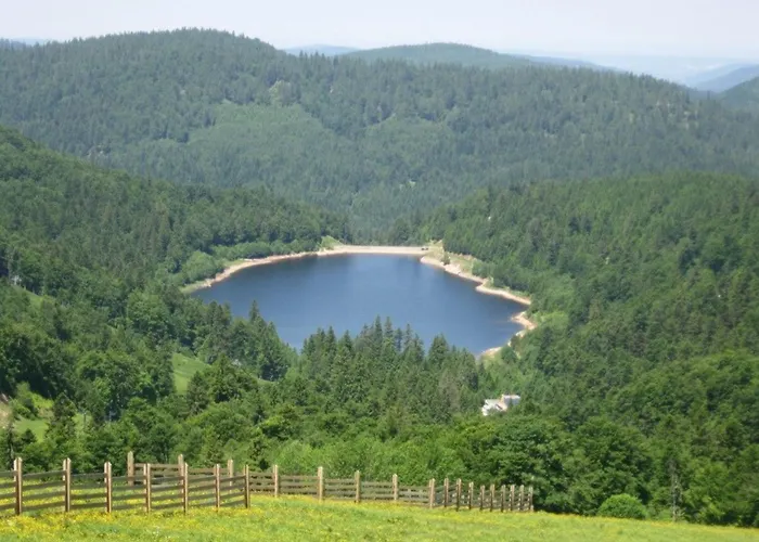 펜션 Confortable Dans Les Vosges - 2 Independants - Fr-1-589-838