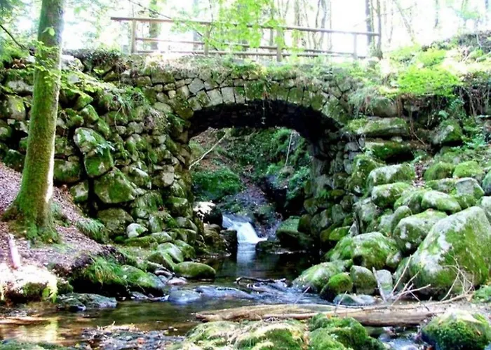 펜션 Confortable Dans Les Vosges - 2 Independants - Fr-1-589-838 르메니