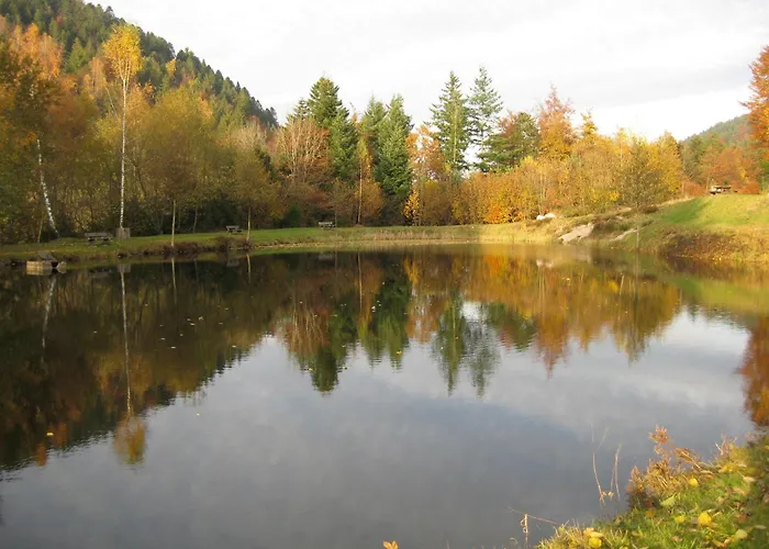 Confortable Dans Les Vosges - 2 Independants - Fr-1-589-838 르메니